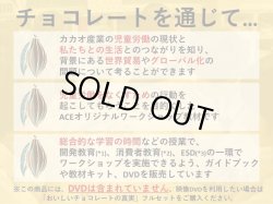 画像2: 教材「おいしいチョコレートの真実」ガイドブック＋教材キット